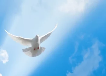 Quando / Como recebemos o Espírito Santo?